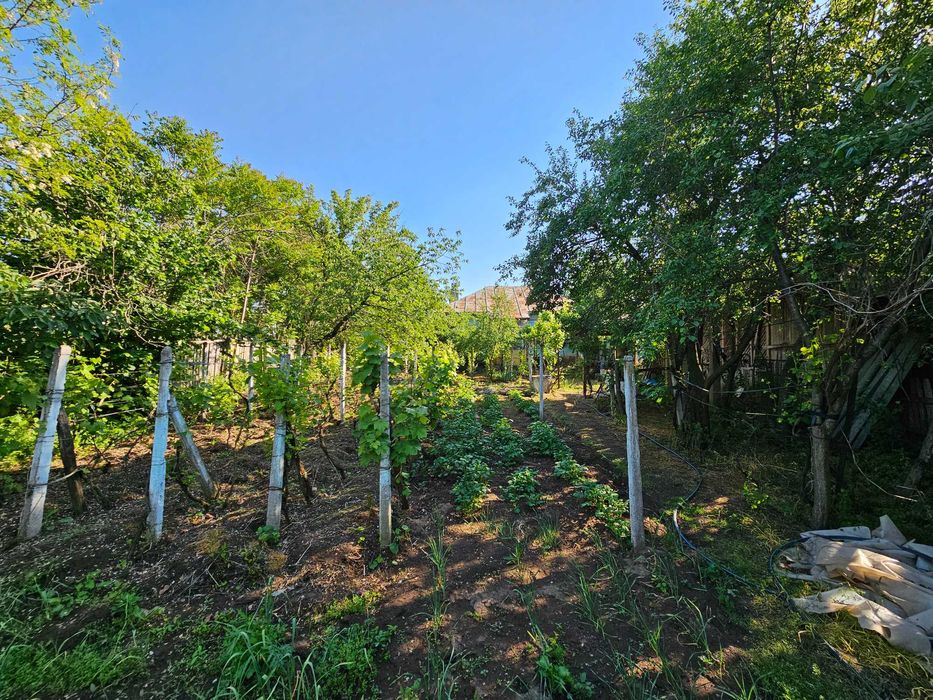 Vila si curte generoasa (4800 mp) - Dobrotesti, judetul Dolj