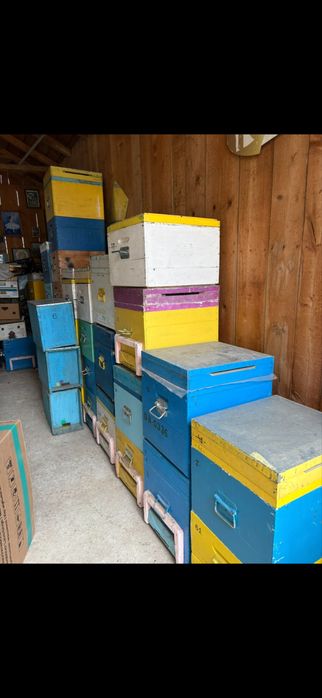 Centrifuga / stupi / cutii de albine / faguri