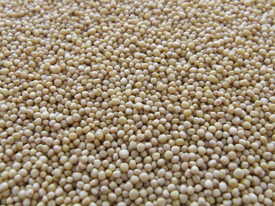 Depozit cereale vindem porumb vrac/sac amestec cereale