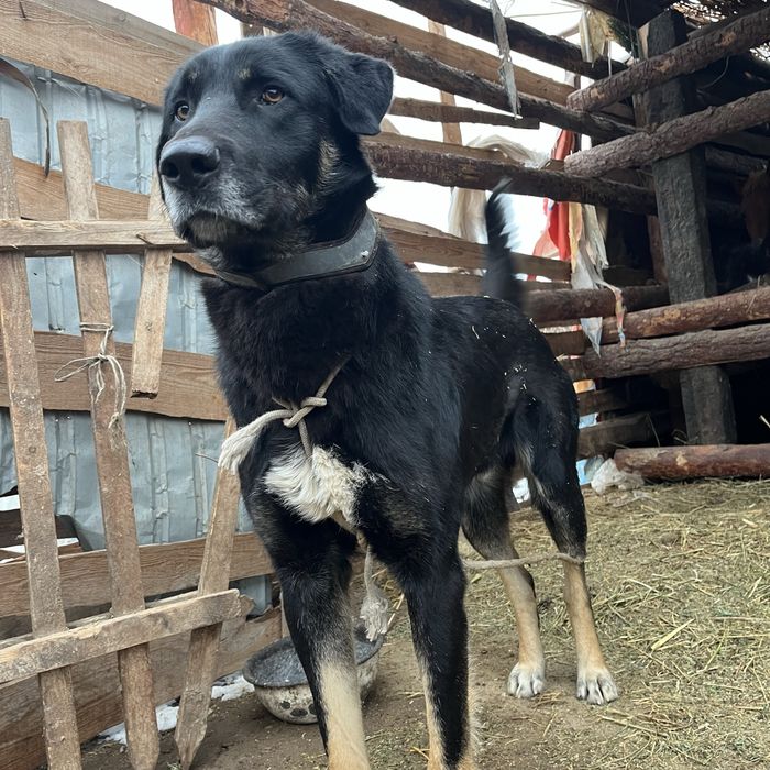 Осы тобет сатылады