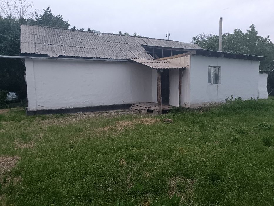дом с малиновым садом/малина бақшасы бар үй