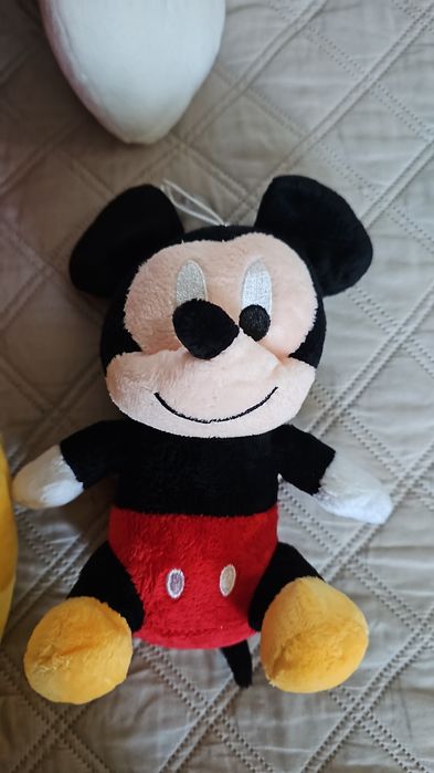 Mickey mouse  plus mic