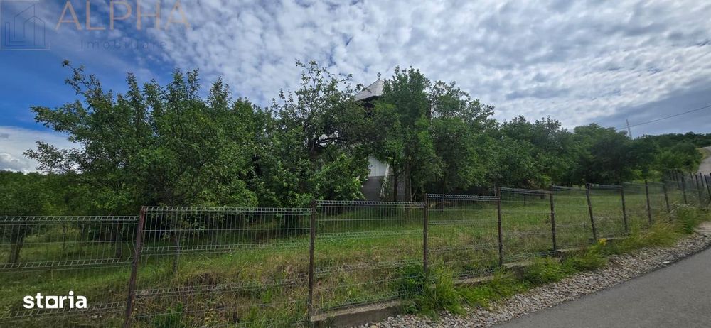 Casa Cu Teren Generos In Herina, Bn – Oportunitate De Investitie Turis