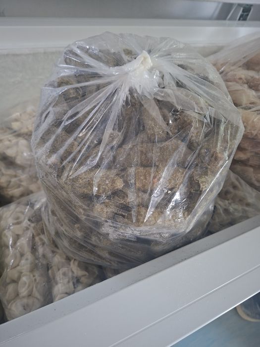 Assalom alekum Rahmatuloh barakatuh halol domashniy tuchvara kotlet