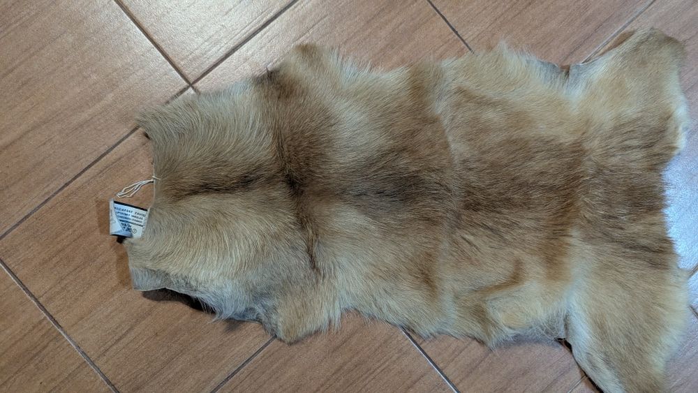 Кожа за кукери.        .