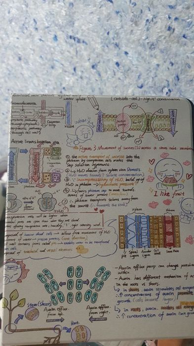 Чехол для айпад 12.9, 2022 года
