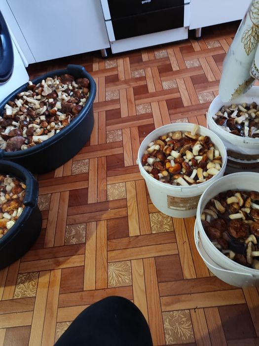 Продам грибы и салаты