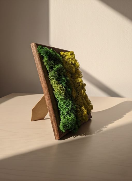 Tablou decorativ cu lichieni naturali.