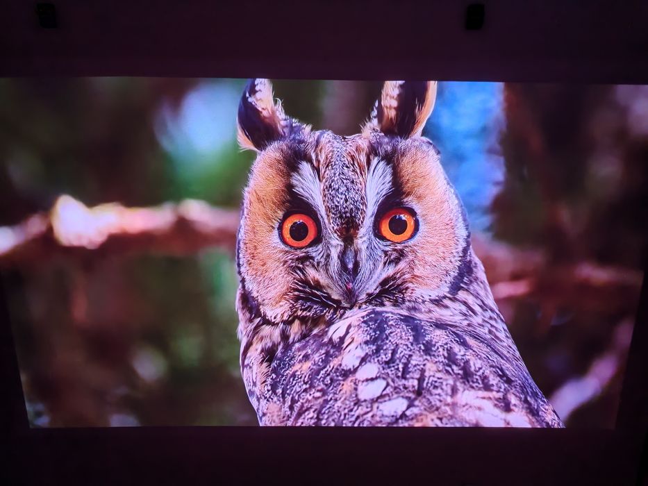 Vând Proiector Laser TV Hisense PX1-PRO – Ultra Short Throw, 4K HDR