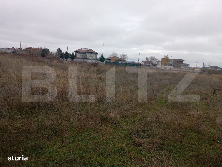 Teren 9.000 mp in Priseaca – Intravilan + Extravilan, aproape de Tar