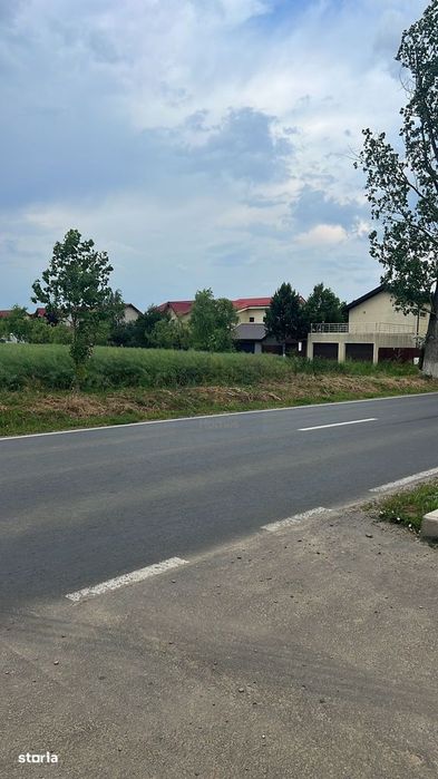 Teren de Vanzare Industrial Caciulati A3
