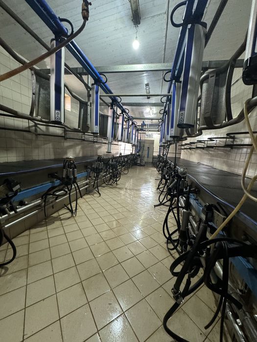 Sala de muls De Laval care a fost achizitioanata de noua !