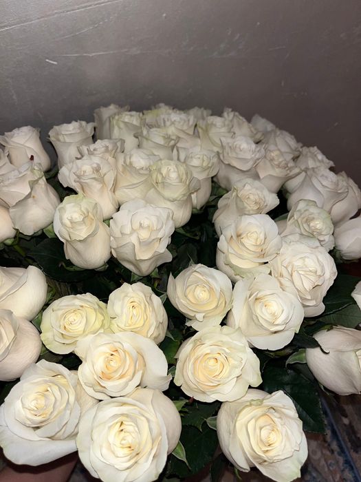 Белые розы букет, свежая