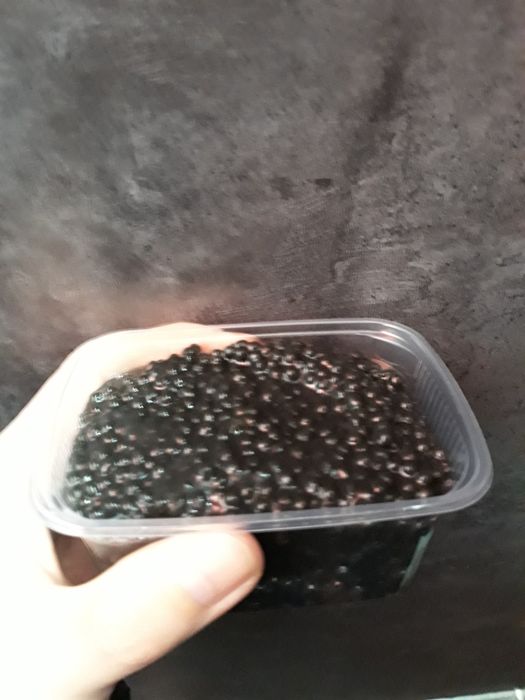 Икра фареля и палтуса