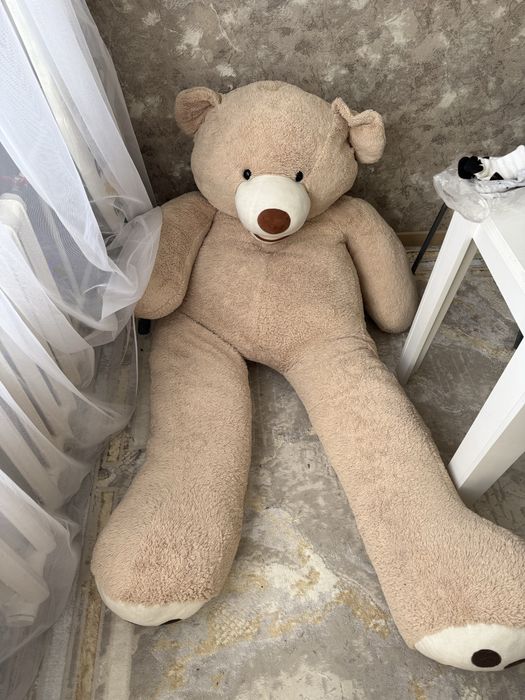 Медведь большой