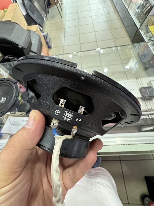 morel maximo 6 mkii