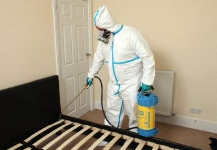 Dezenfeksiya Дезинфекция от Клопов Тараканов Мухи Камари Грызунов 24/7