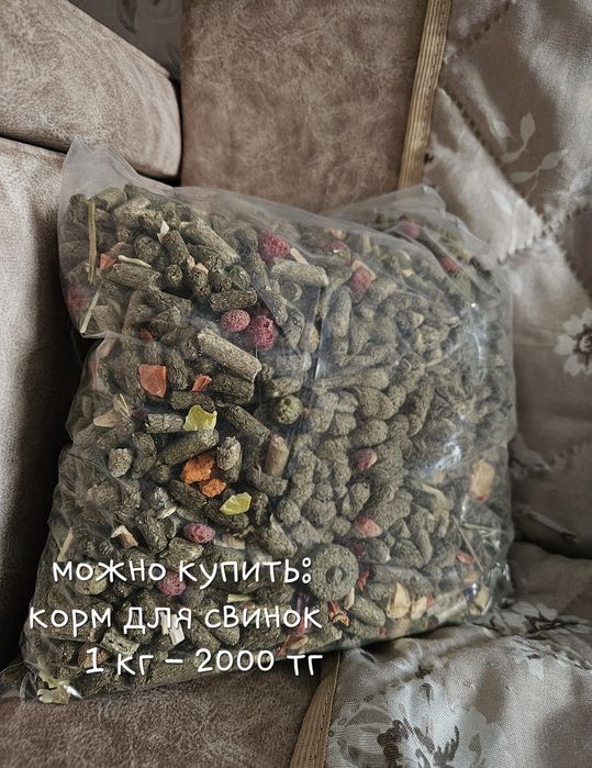 Продается мальчик (около 5 месяцев) + сено в подарок