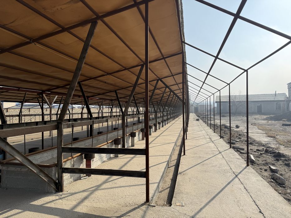 Мол ферма  сотилады 57 сотих келишамиз пулины