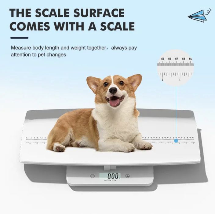 Весы 100кг для детей и взрослых универсальные! Без гарантити