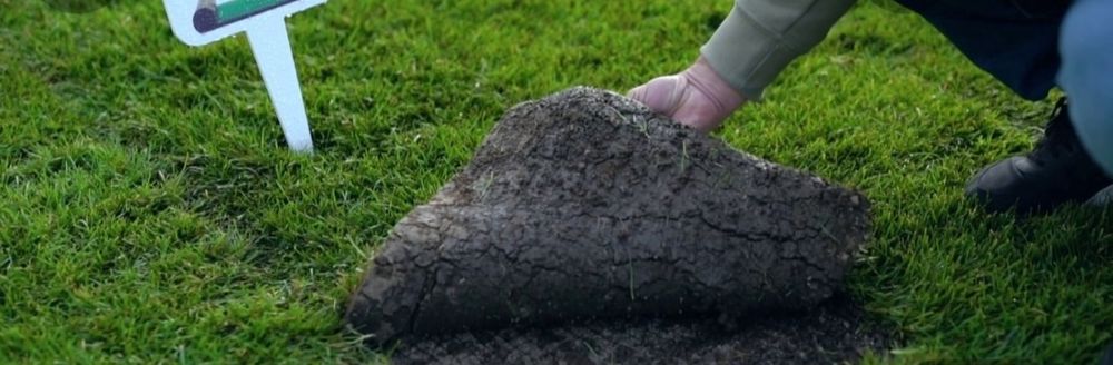 Pamant vegetal pentru gradina și curte