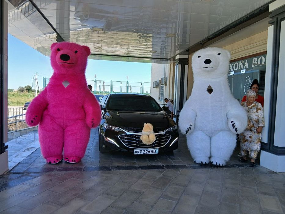 Услуги Malibu 2 пример. Малибу 2 пример хизмати закс, роддом, водитель