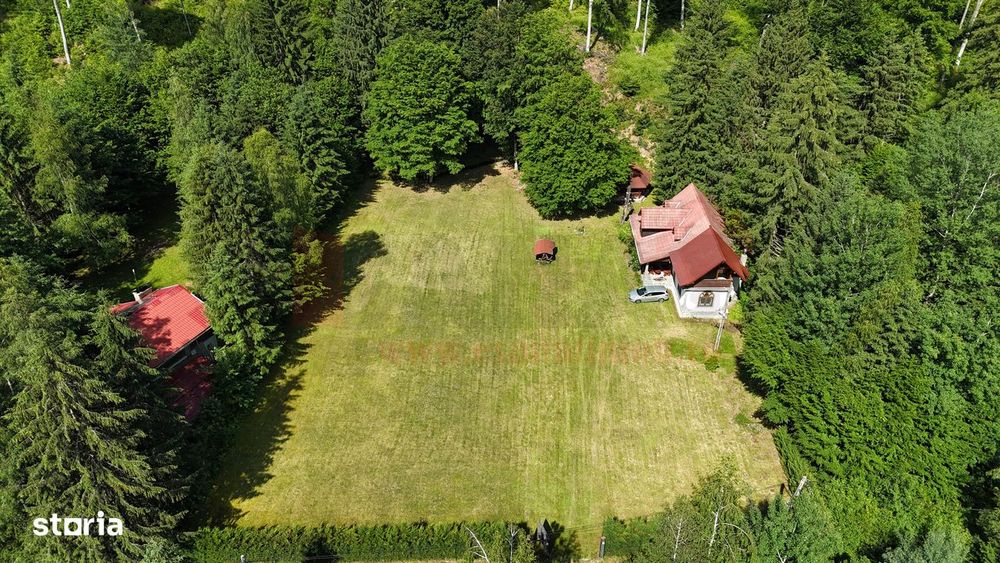 Proprietate Deosebita | Teren 3000 MP | Avrig | Acces Padure |VIDEO