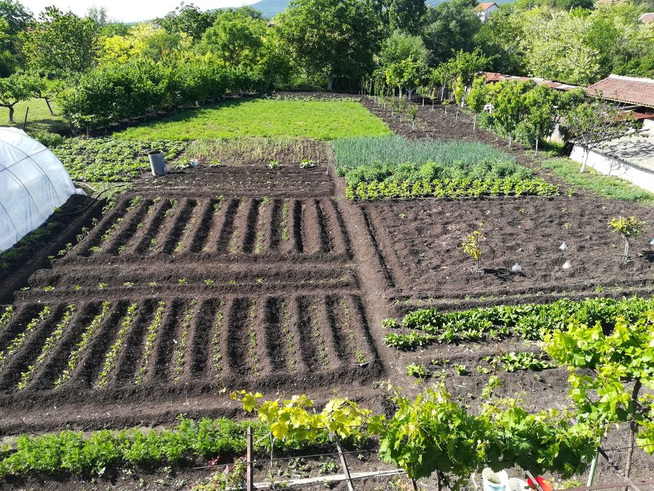 Продава се Къща в с. Миладиновци, Област Ямбол - 475 кв.м за 232 €/кв.м - Снимка #3