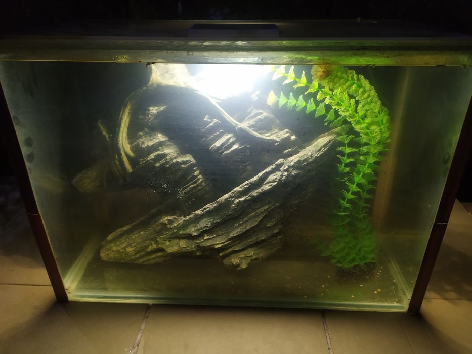 Аквариум 73л + бонусы и рыбки.