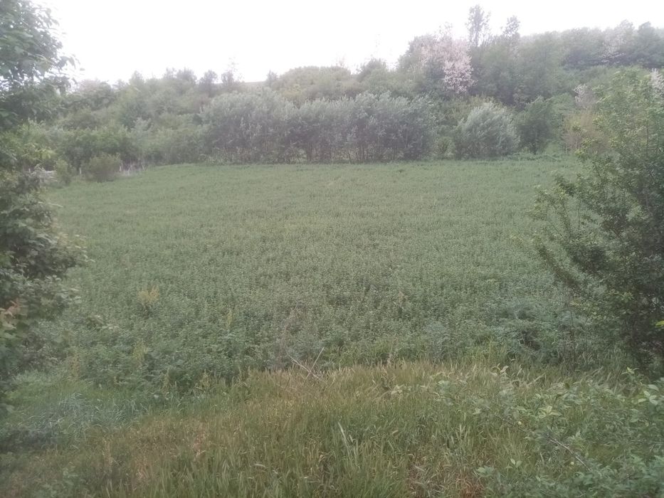 Vand teren  Gubandru