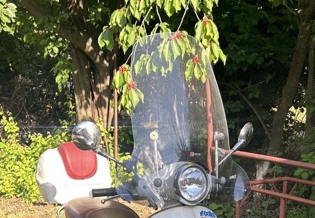 Parbriz Faco - Vespa Primavera 125cc