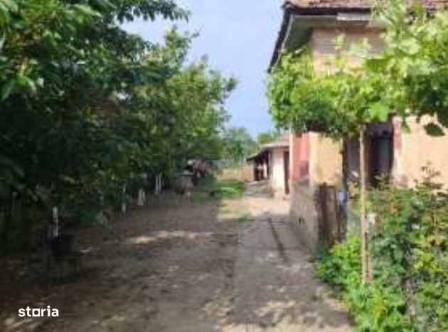 Casa si teren cota parte 1/2, Saelele, ID: R3150394