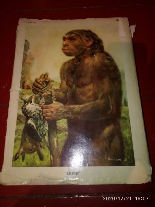 Книга"Жизнь древнего человека".