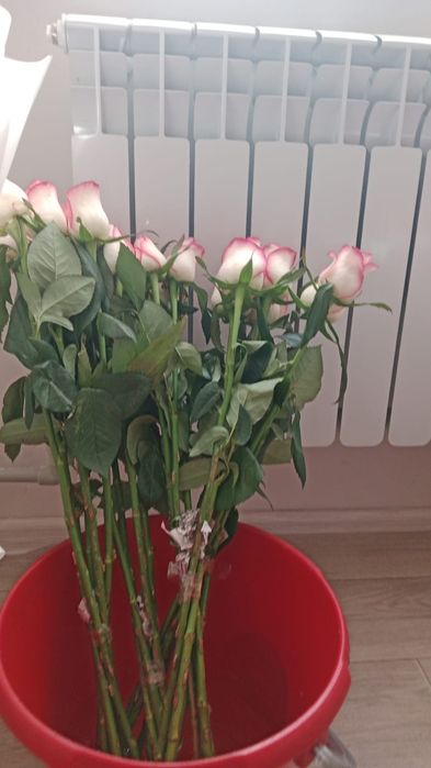 Продается большой букет