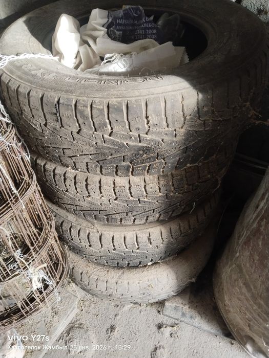 Қыстық дөңгелек бу