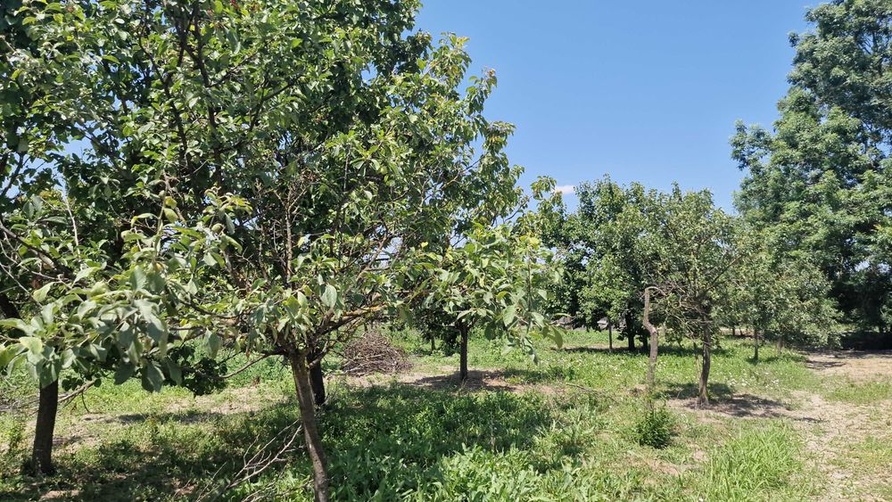 Casa de vânzare cu 4 camere în Bocsig, Arad + Gradina 1000mp cu 2 intrari