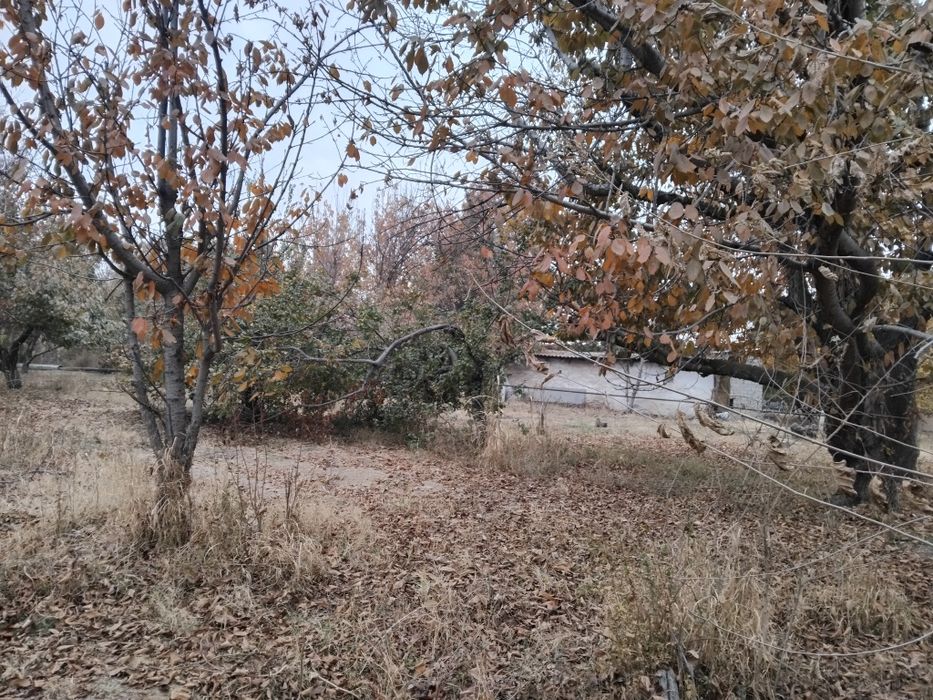 Срочно ер сотилади !