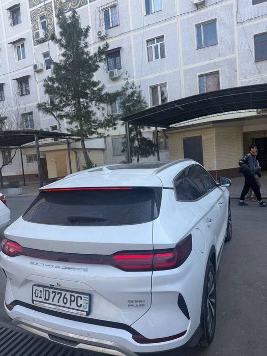 Byd song plus champion