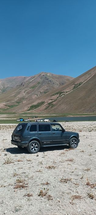 Niva urban sotiladi