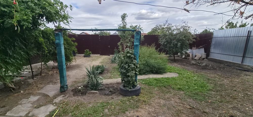 Casa De Vanzare Sofronea