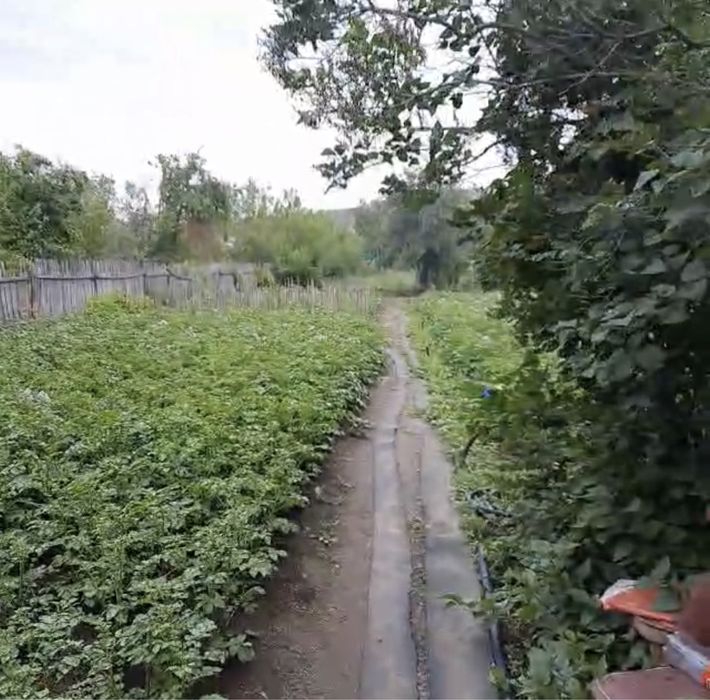 Продается дачный участок, 12 соток