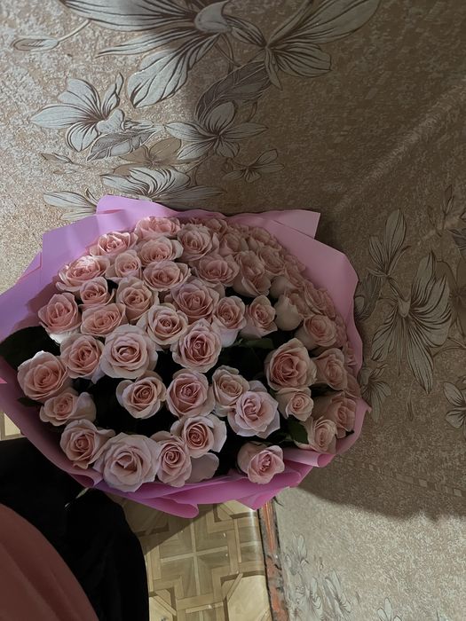 Роза розывые розы