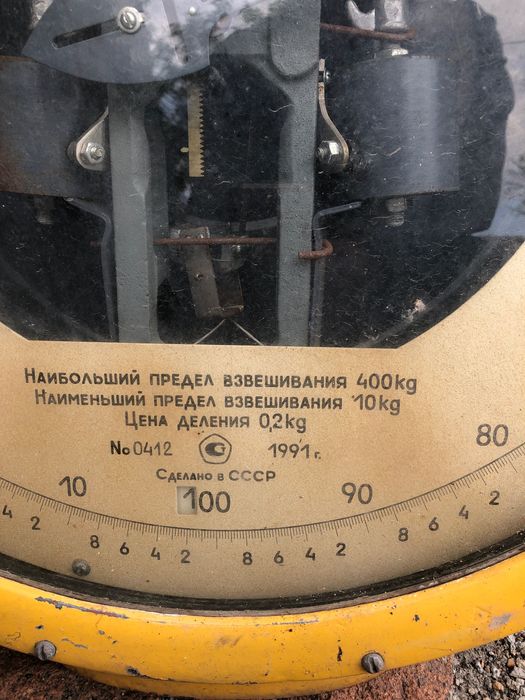 Весы для молзавода