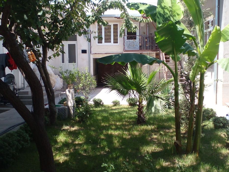 СРОЧНО: Ko'kcha darvozada 3.7 sotixli xovli