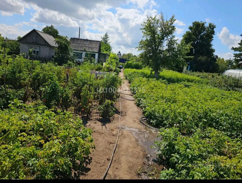 Продам дачу в саду "Клён"
