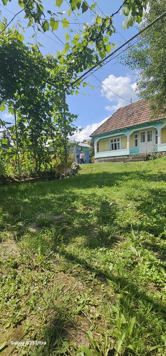 Casa de vânzare Ferăstrău-Lesunt