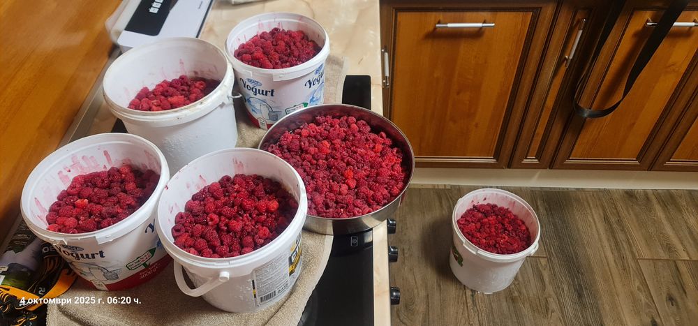 Продавам малини сорт Люлин