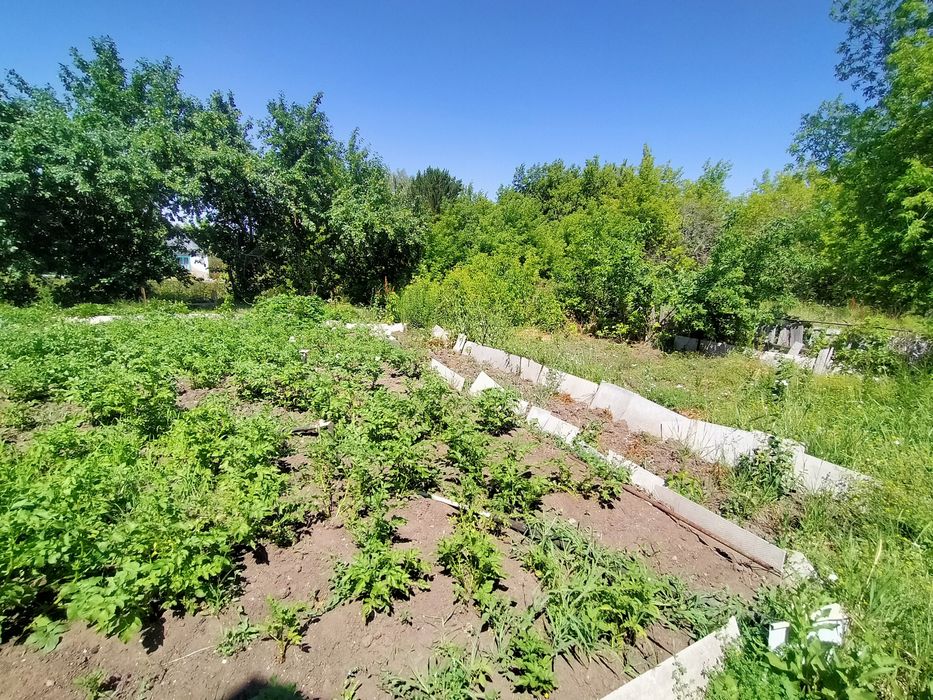 Продаю дача на павладарском трассе