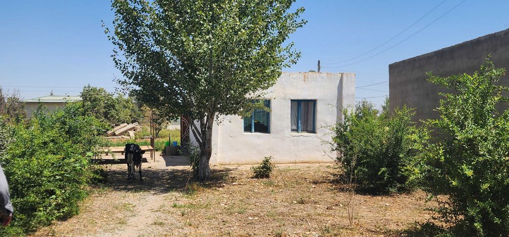 Uy sotiladi kotej uy