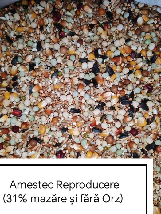 Hrana Porumbei,Turturele,Fazani,Potarnichi,Găini,Păuni,Rate,Pasari